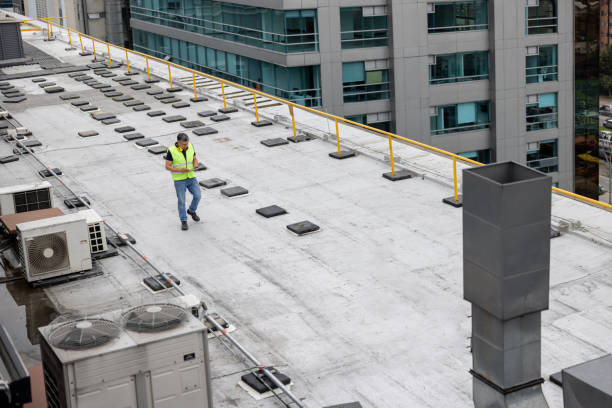 Best Cold Roofs  in Wagener, SC