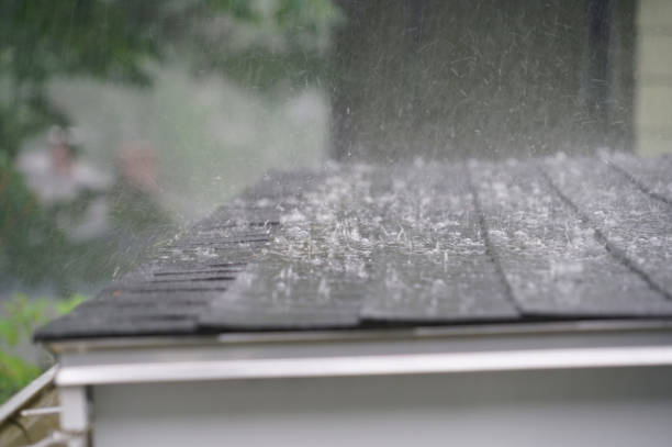 Best Skylight Installation and Repair  in Wagener, SC