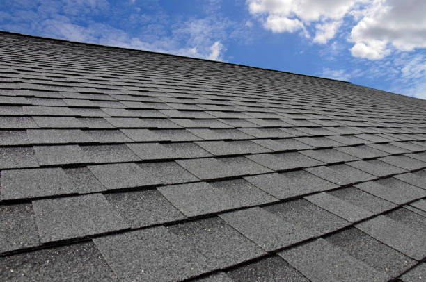 Best Roof Maintenance and Cleaning  in Wagener, SC