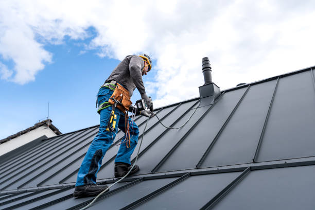 Best Chimney Flashing Repair  in Wagener, SC